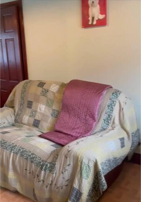 Annie Dee'S Guest Accommodation Ballygowan المظهر الخارجي الصورة