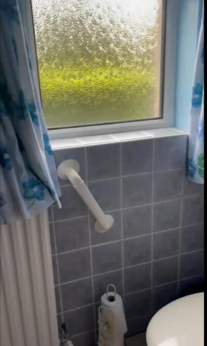 Annie Dee'S Guest Accommodation Ballygowan المظهر الخارجي الصورة