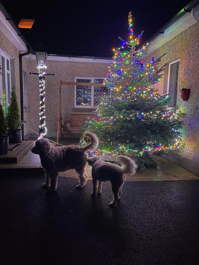 Annie Dee'S Guest Accommodation Ballygowan المظهر الخارجي الصورة